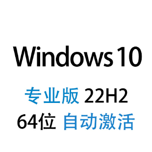 【自动激活】Windows 10 专业版 中文64位 2023年10月更新 22H2版win10-logo