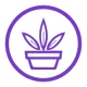 植物识别接口