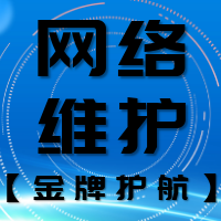 网络维护(金牌护航)故障处理、交换机、路由器、防火墙、VPN、上网行为管理、网络拓扑、网络架构