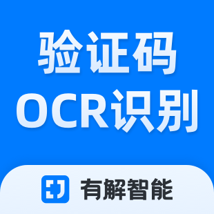 验证码识别-验证码OCR识别-验证码信息识别-有解智能