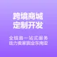 跨境电商网站/商城网站建设/B2C商城/购物网站/电商网站