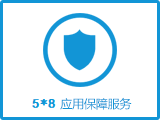 【5*8应用保障代维】持续系统监控 安全防护 保障业务稳定运行