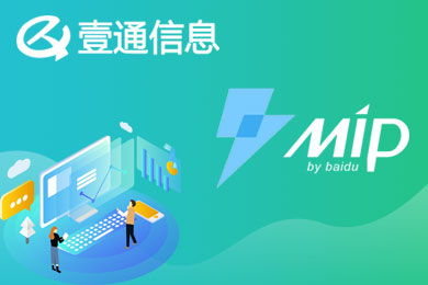 企业官网 网站建设 展示网站 中文网站 MIP网站