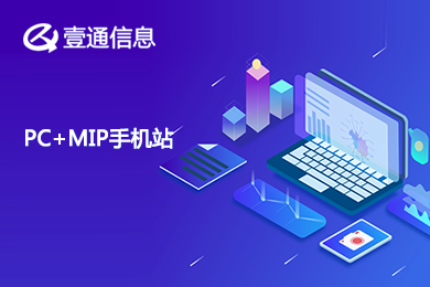 企业官网 网站建设 展示网站 中文网站 PC和MIP网站套餐