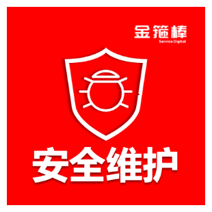 网站维护Windows/Linux服务器维护重新装系统环境配置/杀毒木马-logo