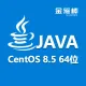 【安全加固】JAVA环境（Aliyun兼容CentOS8.5 Nginx Tomcat8 JDK）