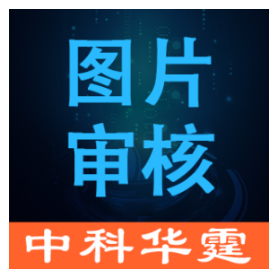 图片内容审核-图像内容审核-图片鉴黄-图片违规-图片违禁-图片文本检测-图片监测-图片检测-图像检测-logo