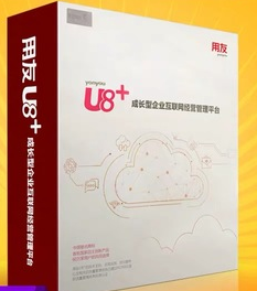 用友U8 V13.0 财务管理