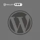 WordPress 网站全面代维-Websoft9 托管易™