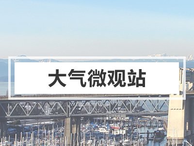 大气微观站-logo