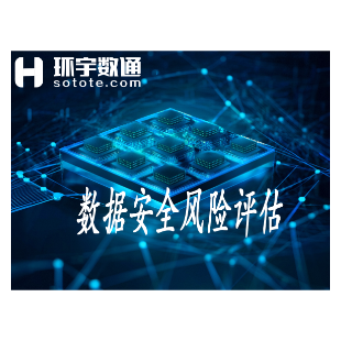 数据安全风险评估-logo