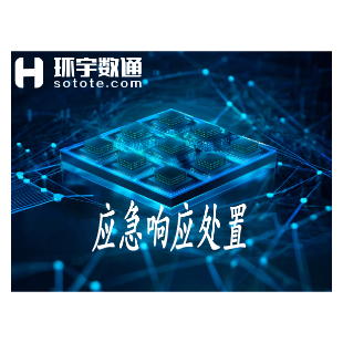 应急响应处置-logo