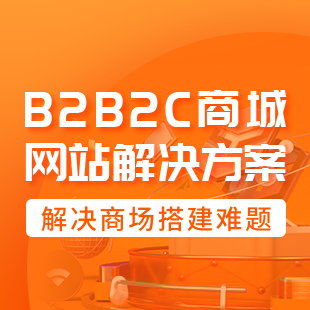 B2B2C平台解决方案【渠道专享】-logo