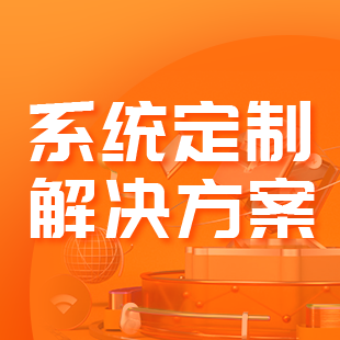 系统定制解决方案-logo