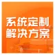 系统定制解决方案