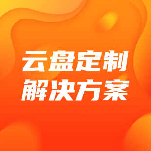 云盘定制解决方案-logo