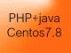 PHP+JAVA共存+tomcat8-centos7.8_20G系统盘版