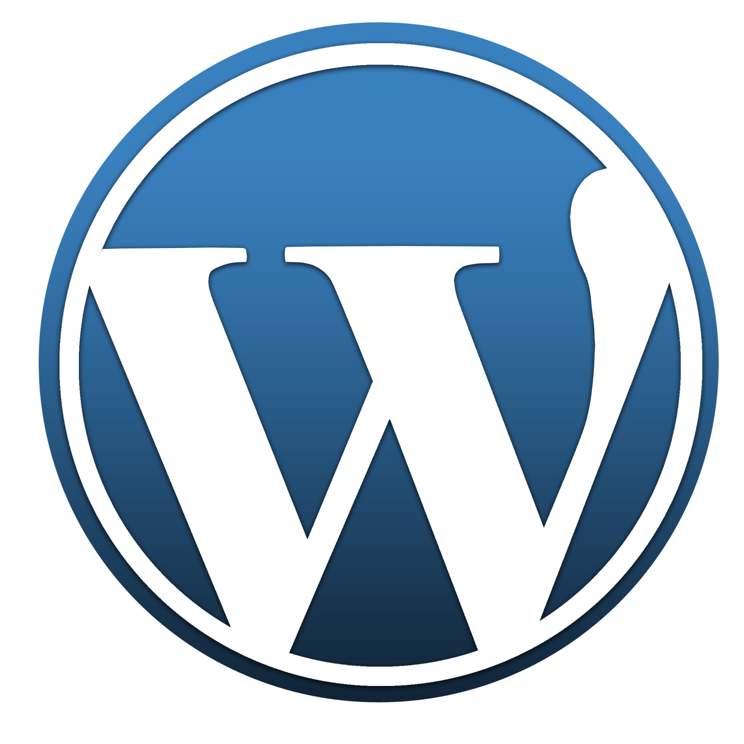 WordPress<em>网站</em>相关服务